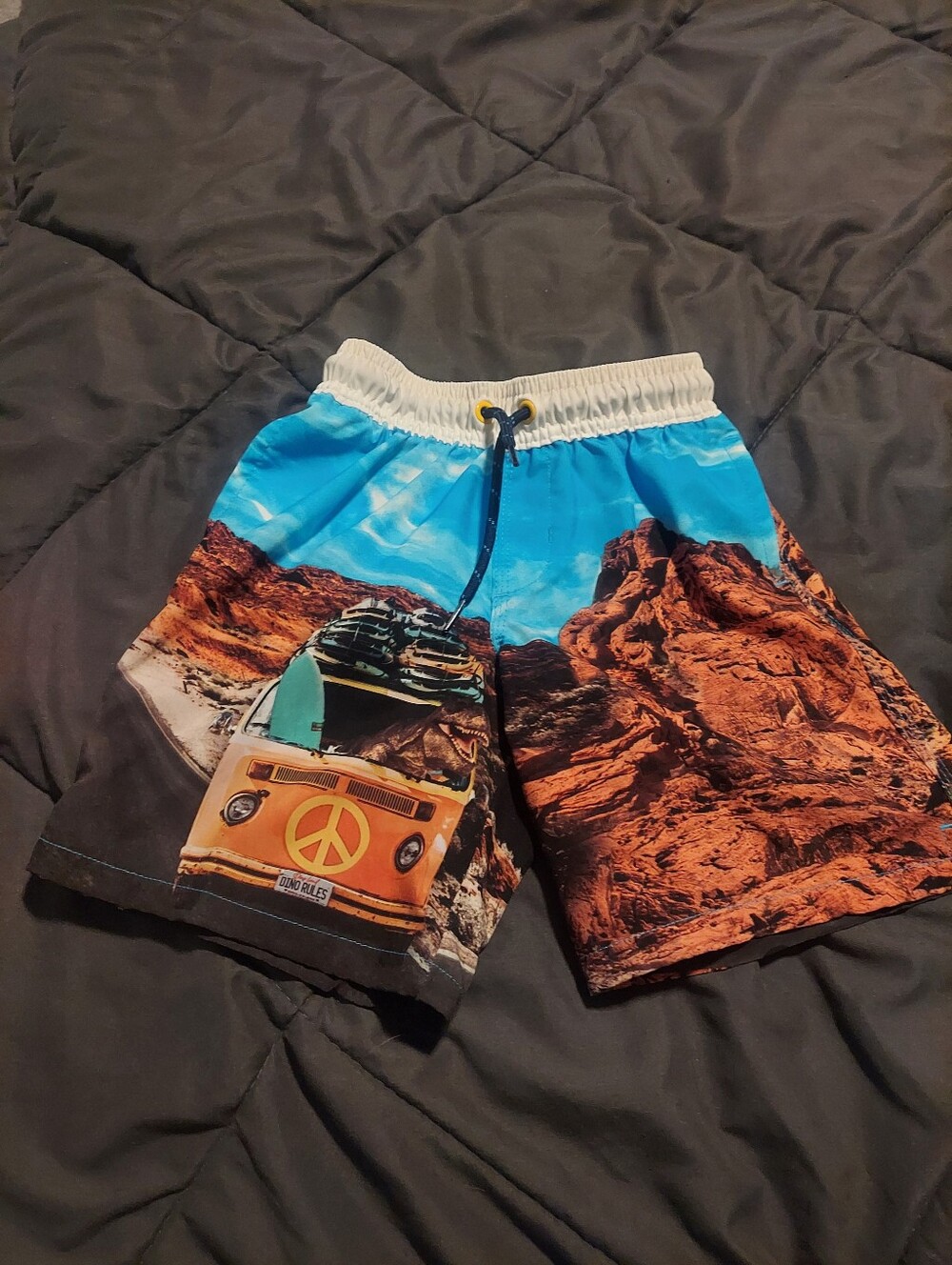 Wonder Nation Boys XS (4/5) Dinosaur Surfer Van Swim Trunks Board Shorts
